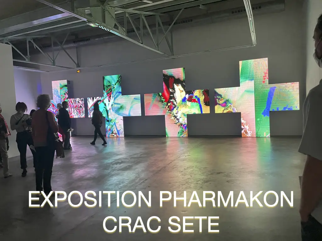 Réalisation Pharmakon – Écran LED Pro